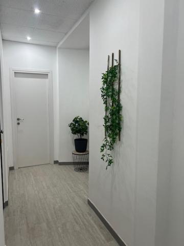 Residence Morena Rzym Zewnętrze zdjęcie